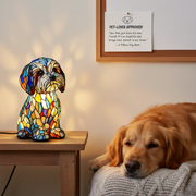Sam | Magic Lamp